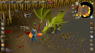 Old School RuneScape  Screenshot 20
