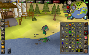 Old School RuneScape  Screenshot 14
