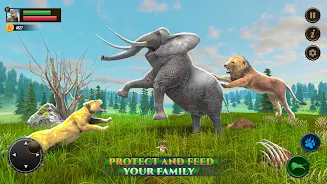 Jungle Kings Kingdom Lion  Screenshot 2