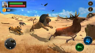 Jungle Kings Kingdom Lion  Screenshot 7