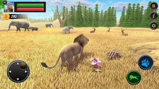 Jungle Kings Kingdom Lion  Screenshot 5