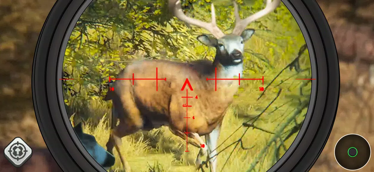 Wild Animal Hunting Simulator  Screenshot 2