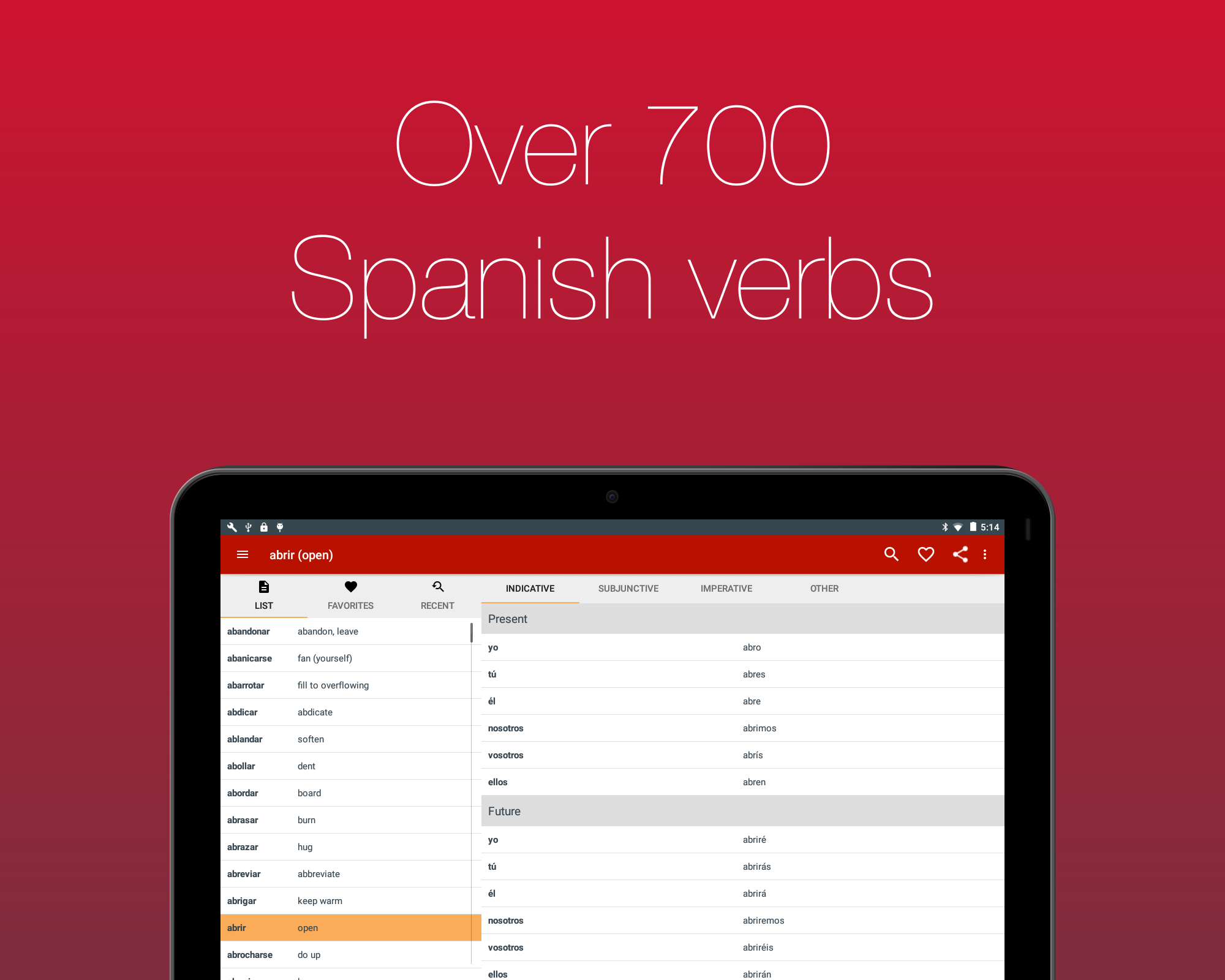 Spanish Verb Conjugator  Screenshot 13