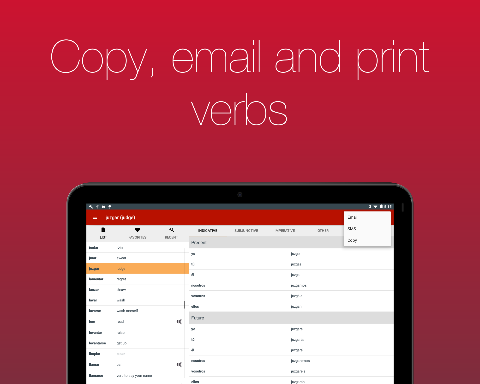 Spanish Verb Conjugator  Screenshot 16