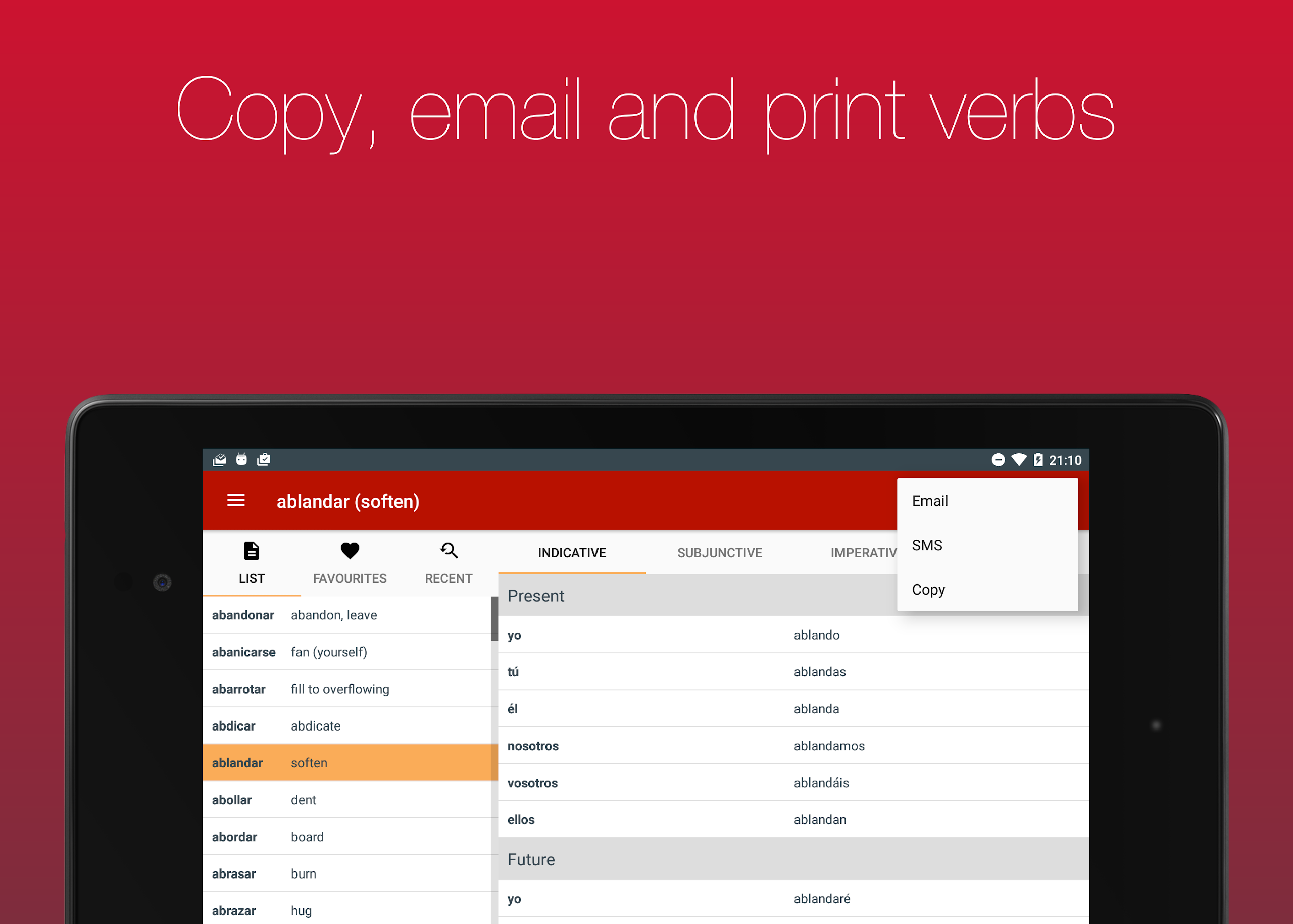 Spanish Verb Conjugator  Screenshot 10