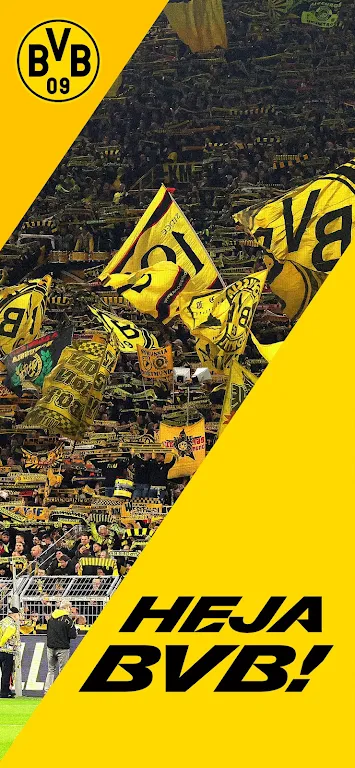 BVB  Screenshot 1