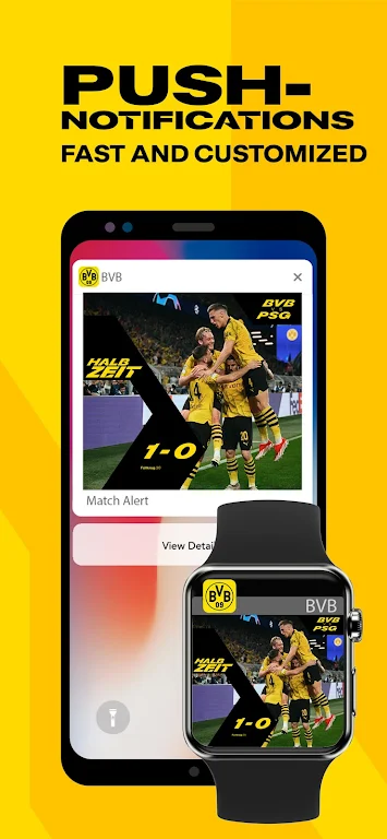 BVB  Screenshot 3