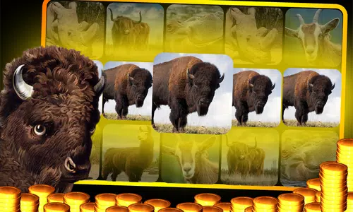 Buffalo Slot Machine  Screenshot 1