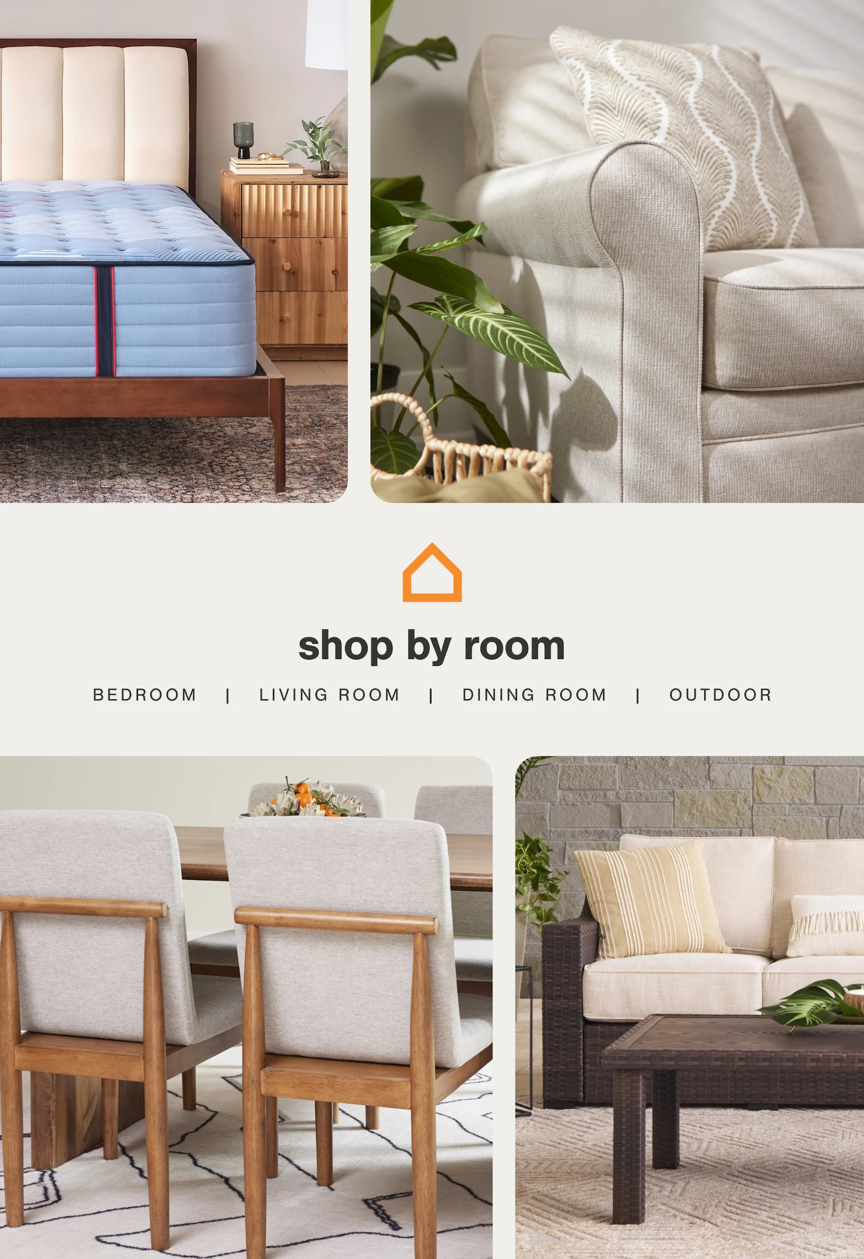 Ashley Screenshot 16