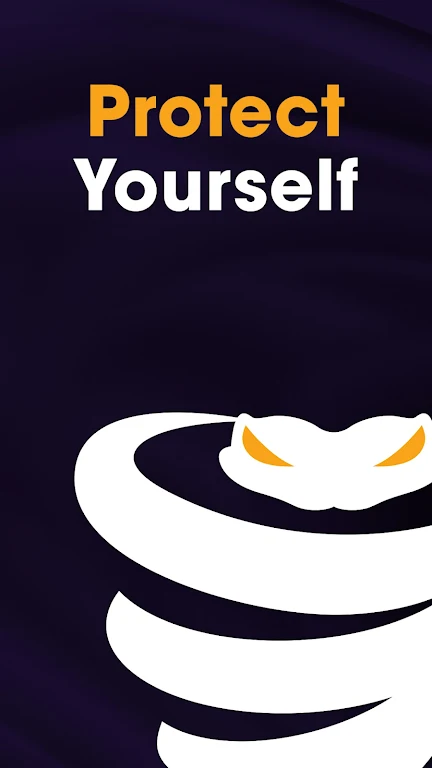 VyprVPN  Screenshot 1