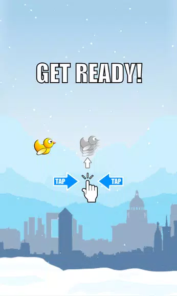 Duck Run  Screenshot 1