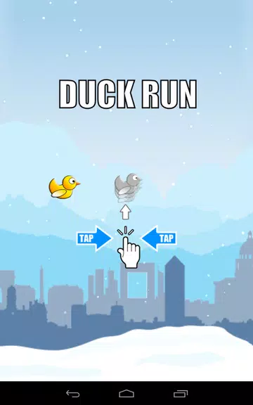 Duck Run  Screenshot 3