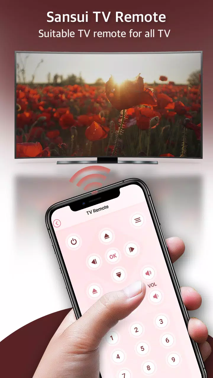 Remote for Sansui TV  Screenshot 4