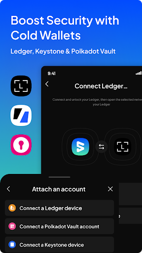 SubWallet  Screenshot 2