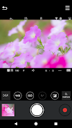 Panasonic LUMIX Sync  Screenshot 3