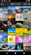 Panasonic LUMIX Sync  Screenshot 2