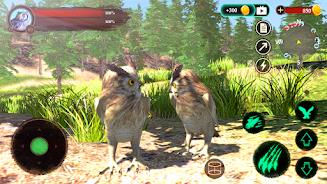 The Owl  Screenshot 1