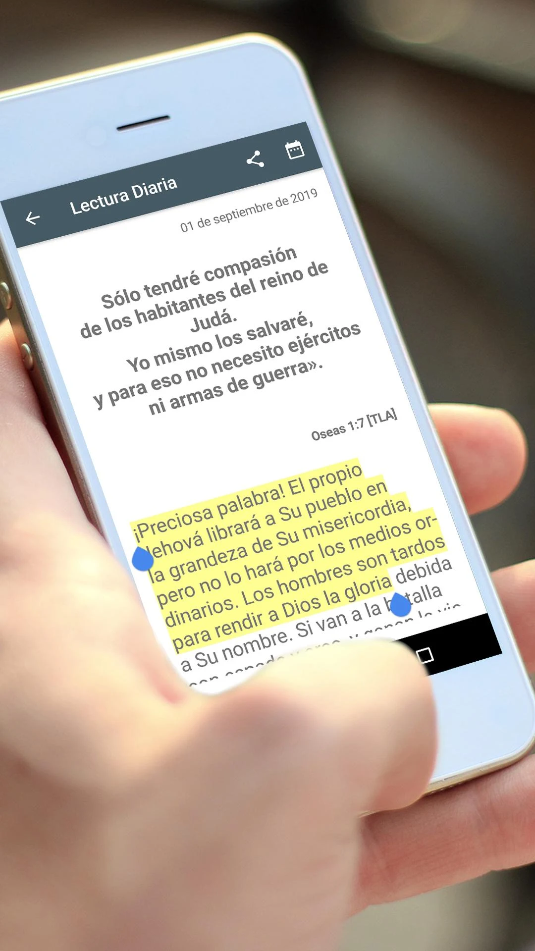 CeluBiblia AIO Screenshot 5
