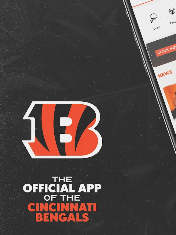Cincinnati Bengals  Screenshot 1