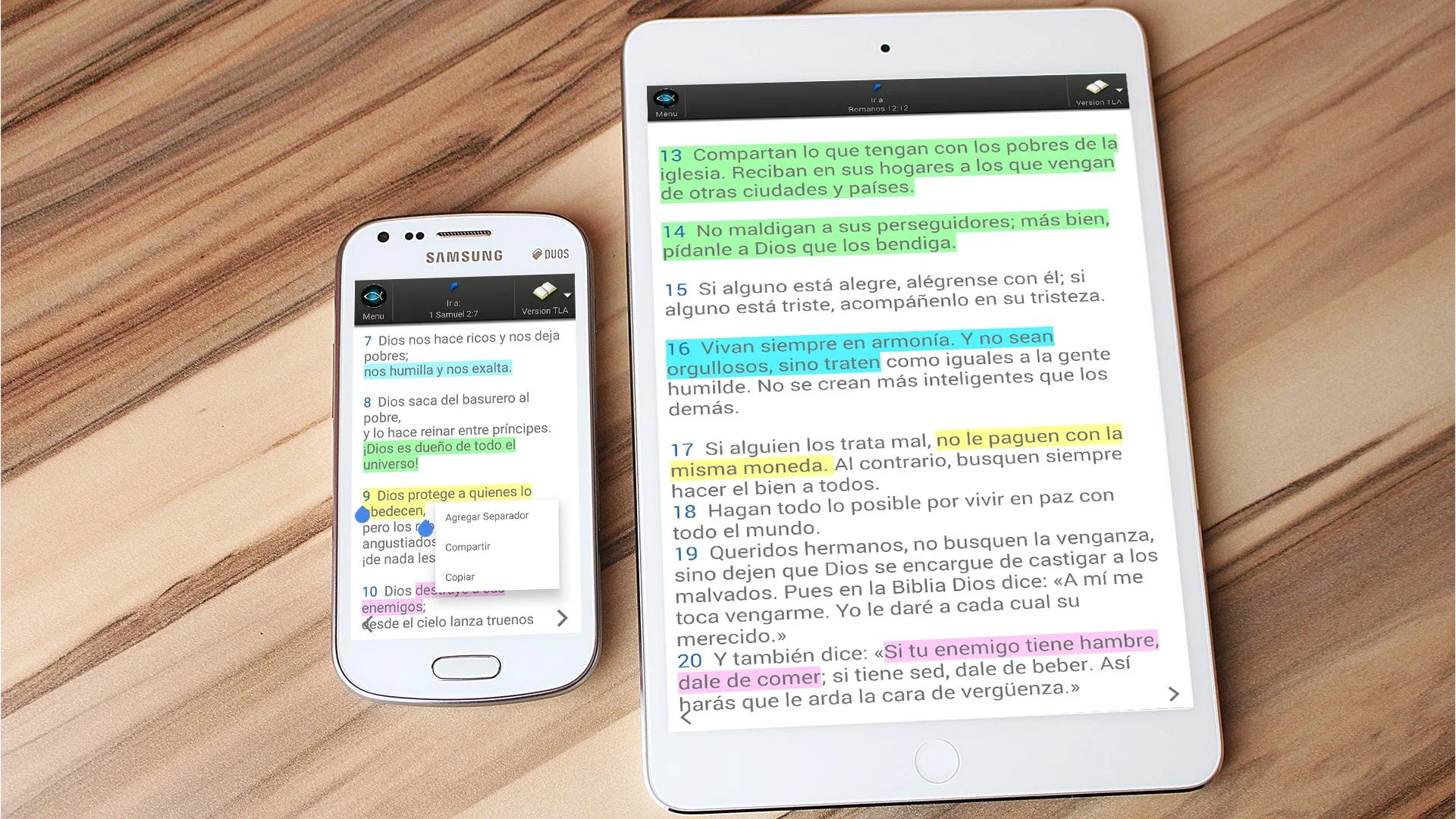 CeluBiblia AIO Screenshot 6