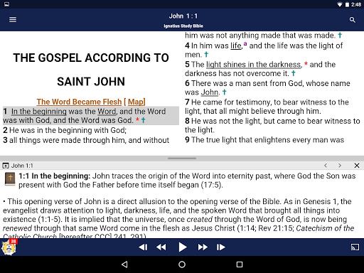 Catholic Study Bible App  Screenshot 41