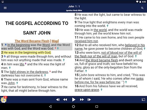 Catholic Study Bible App  Screenshot 40