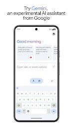 Google Gemini  Screenshot 2