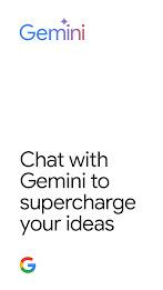 Google Gemini  Screenshot 1