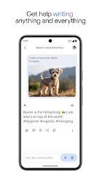 Google Gemini  Screenshot 5