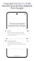 Google Gemini  Screenshot 4