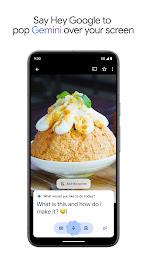 Google Gemini  Screenshot 8