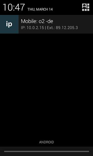 IP Widget  Screenshot 4