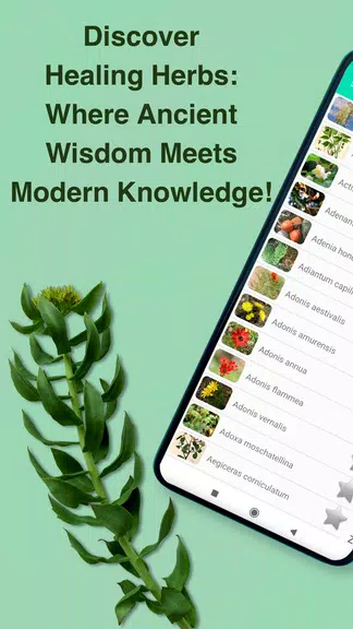 Medicinal Plants & Herbs Guide  Screenshot 1