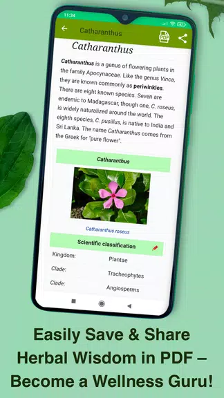 Medicinal Plants & Herbs Guide  Screenshot 4