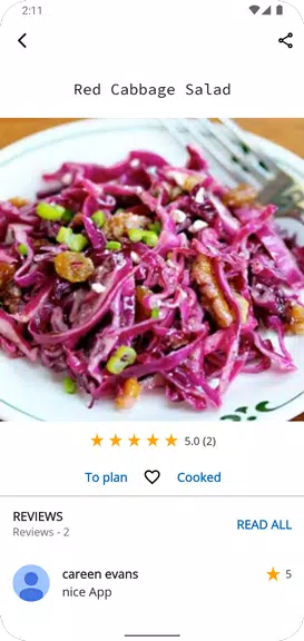 Salad Recipes for Every Day Screenshot 2