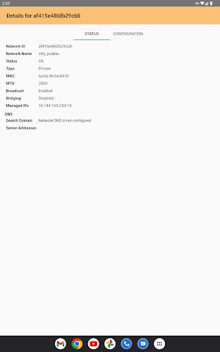 ZeroTier One  Screenshot 9