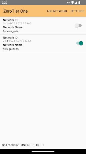 ZeroTier One  Screenshot 1