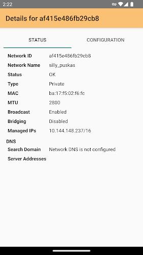 ZeroTier One  Screenshot 3