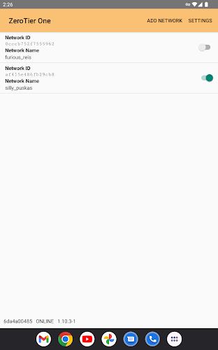 ZeroTier One  Screenshot 4