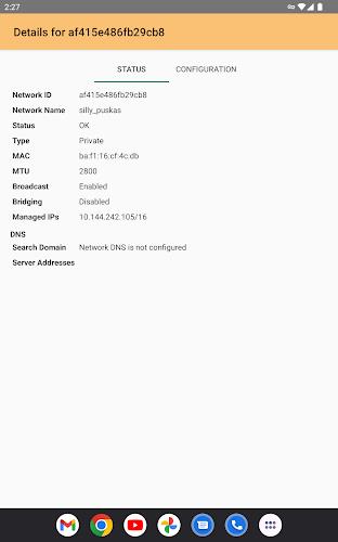 ZeroTier One  Screenshot 6