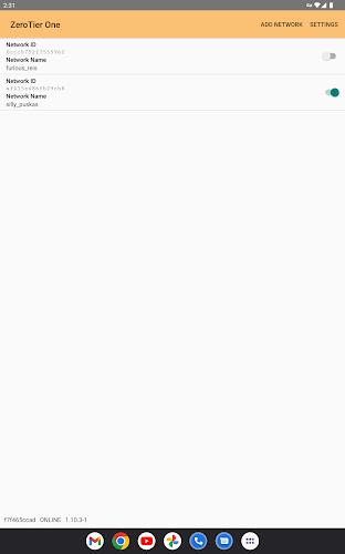 ZeroTier One  Screenshot 7