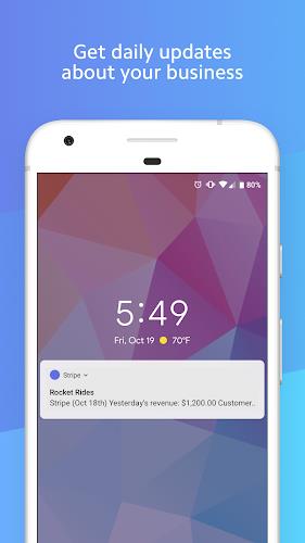 Stripe Dashboard Screenshot 4