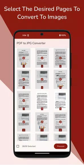 PDF to JPG Converter Screenshot 2