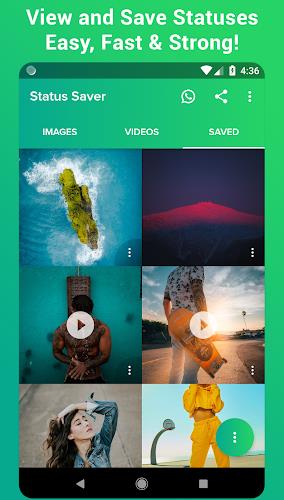 Status Downloader Saver Screenshot 15