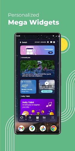 Swish Dashboard  Screenshot 6