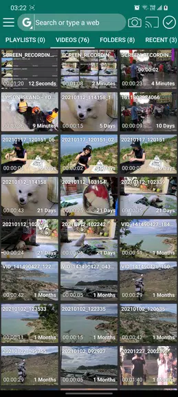 Video player and browser  Screenshot 1