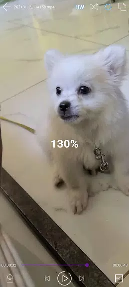 Video player and browser  Screenshot 2