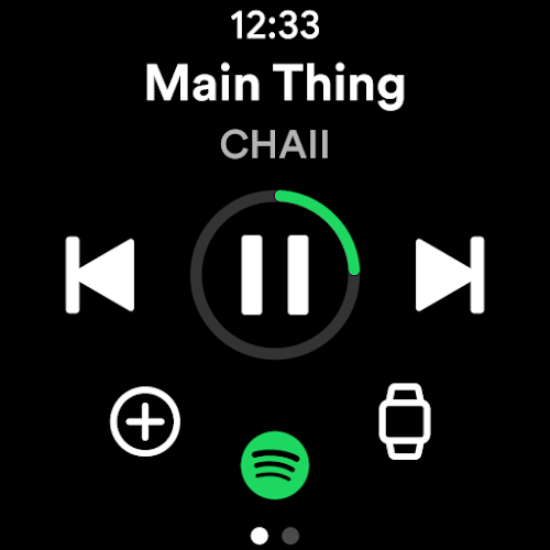 Spotify  Screenshot 21