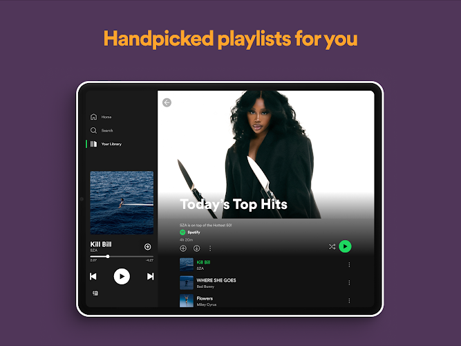 Spotify  Screenshot 11