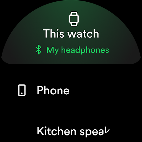 Spotify  Screenshot 25